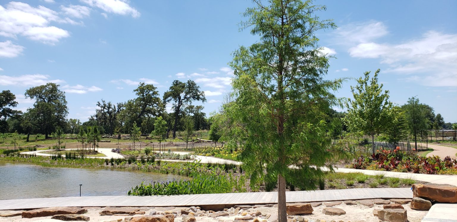 Community Spotlight: Houston Botanic Garden – Hobby Area Management ...