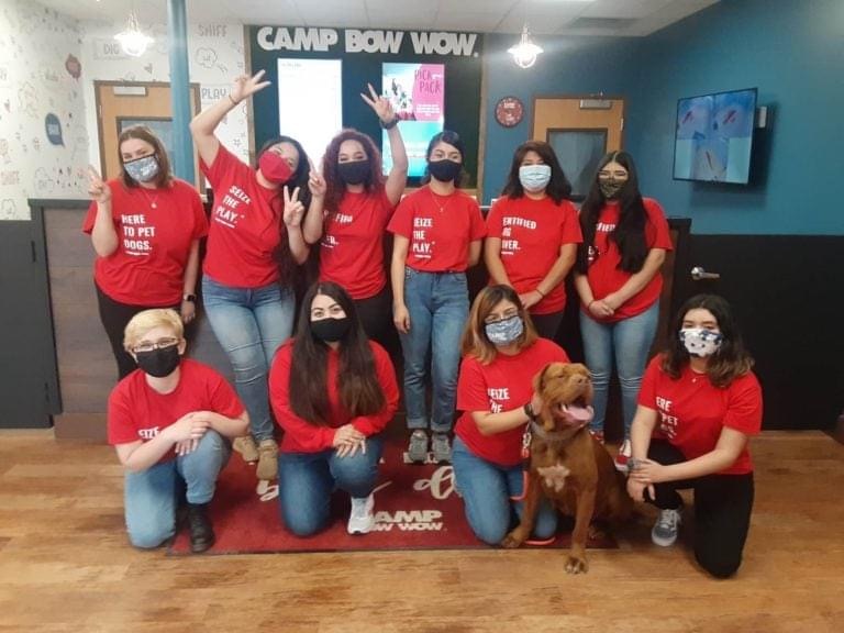 Camp bow outlet wow puppy social