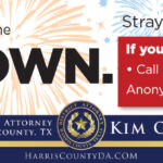 Celebratory Gunfire is Illegal and Irresponsible 16