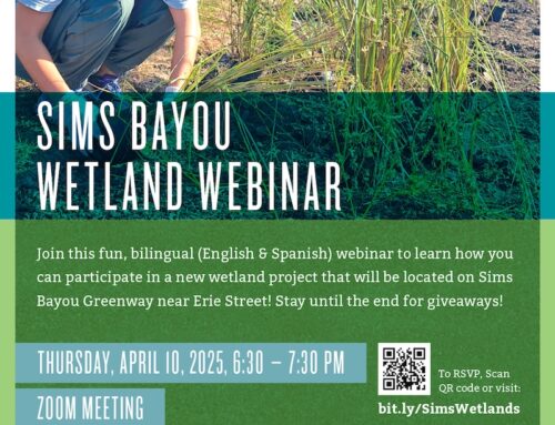 Sims Bayou Wetland Webinar, April 10
